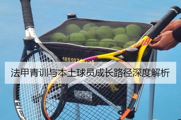 法甲青训与本土球员成长路径深度解析