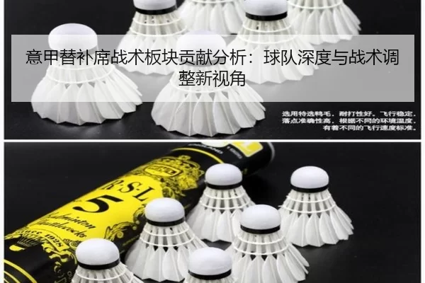 意甲替补席战术板块贡献分析：球队深度与战术调整新视角