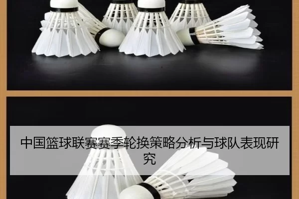 中国篮球联赛赛季轮换策略分析与球队表现研究